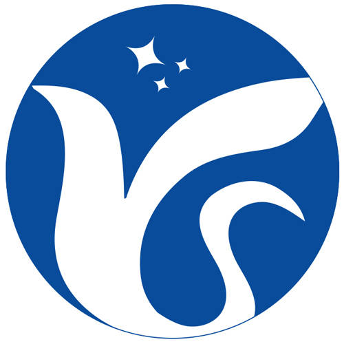 大连沄森智能科技有限公司